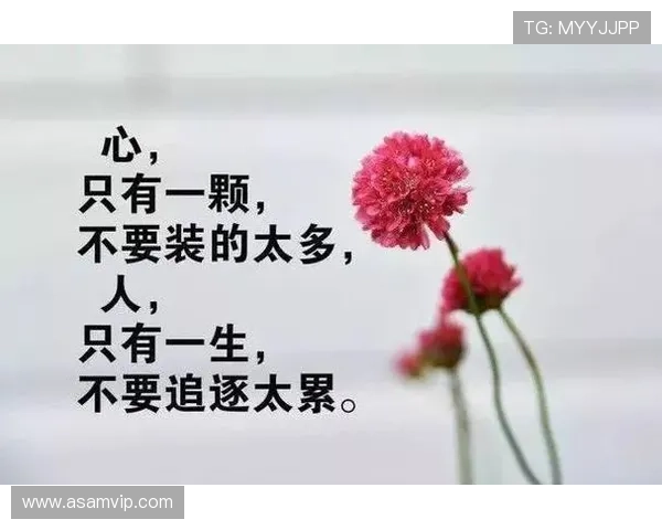 灿烂的书店:99%的人都没看懂的结局,这家店藏了3个人生哲理