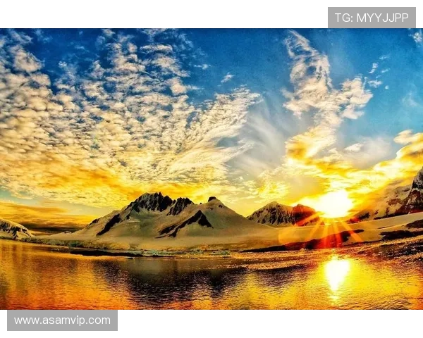 SunnyLane:追寻心中那片最暖的阳光 SunnyLane:追寻心中那片最暖的阳光